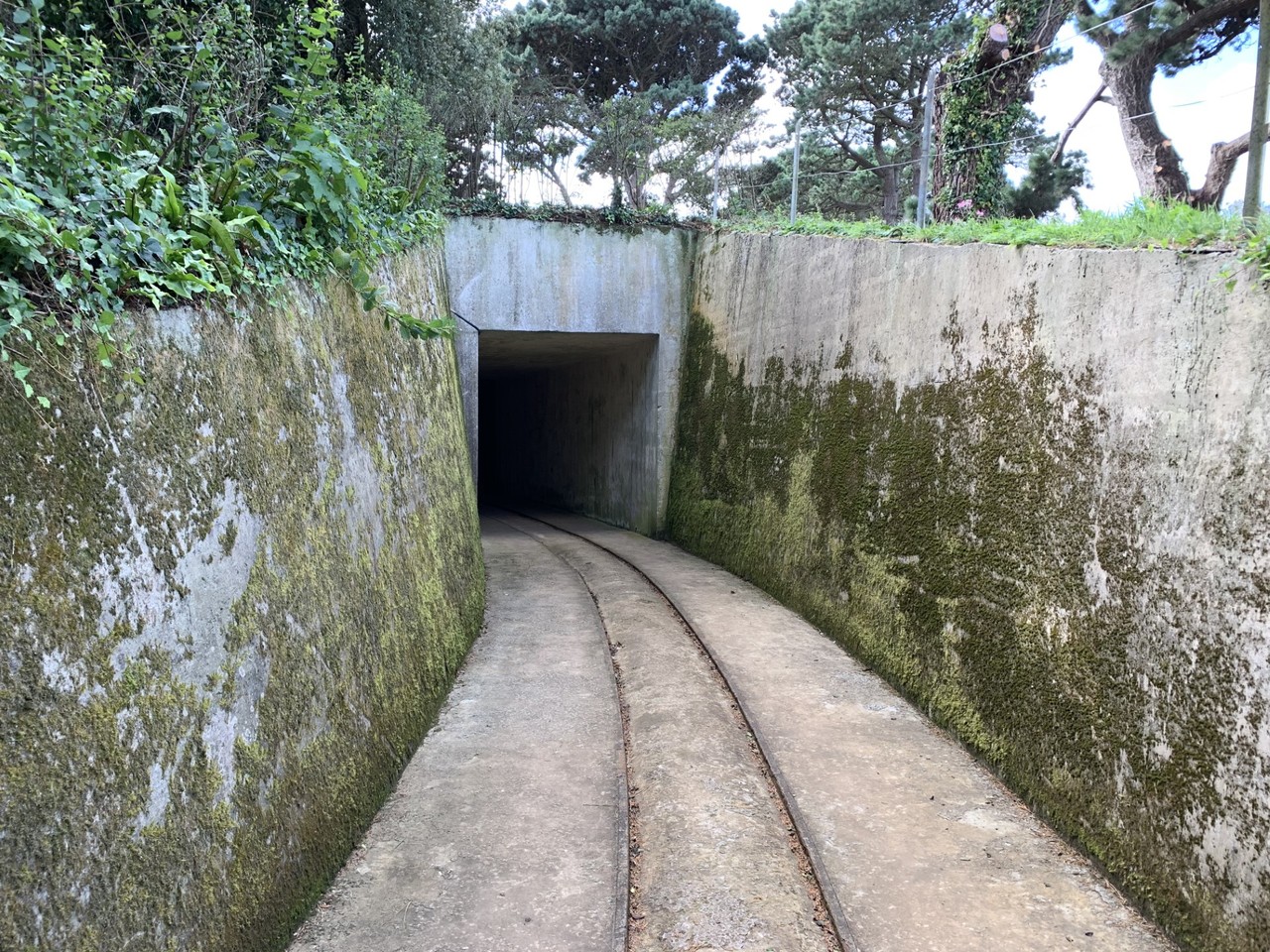 Journey into history - Guided tour of Batterie Mirus